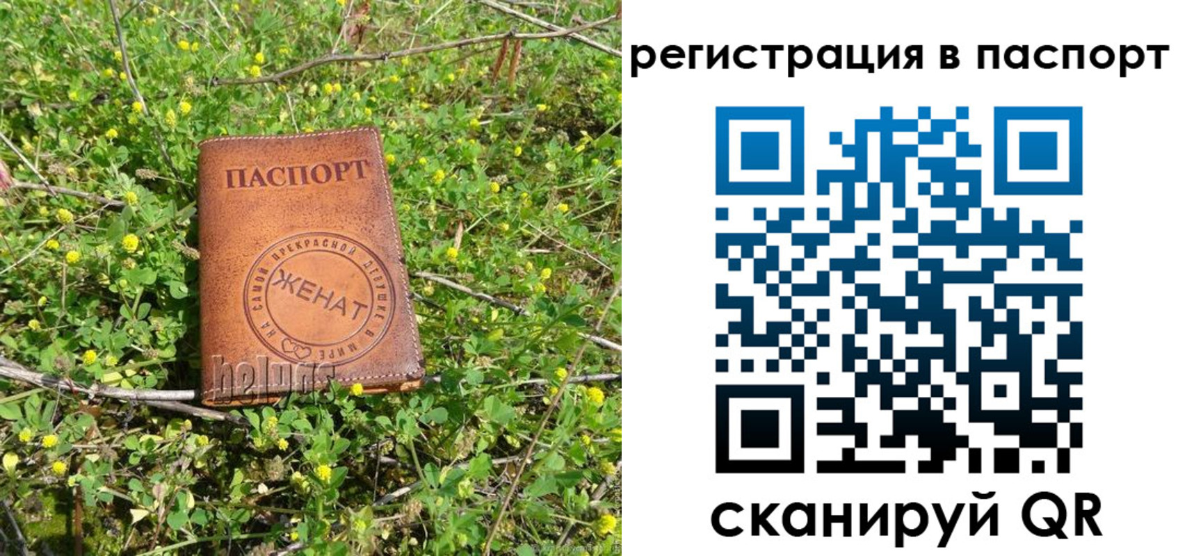 прописка законно в Баймаке